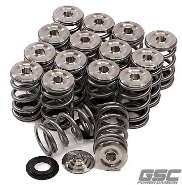 Gsc P-D 3Sgte Spring And Titanium Retainer Kit For Shim Under Bucket 1