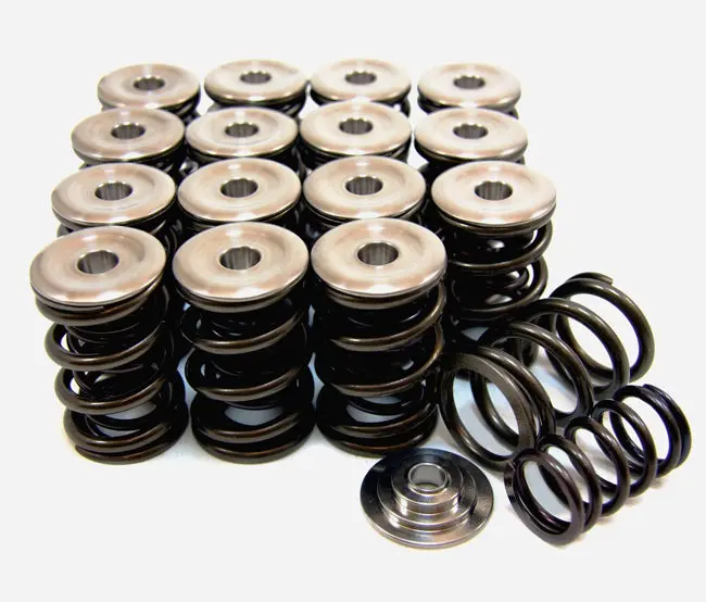Gsc P-D Honda B-Series Vtec Dual Spring Set And Titanium Retainer 1
