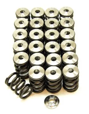 Gsc P-D Toyota 2Jzgte/2Jzge/Vvti Variants Valve Spring Kit (Set Of 24) 1