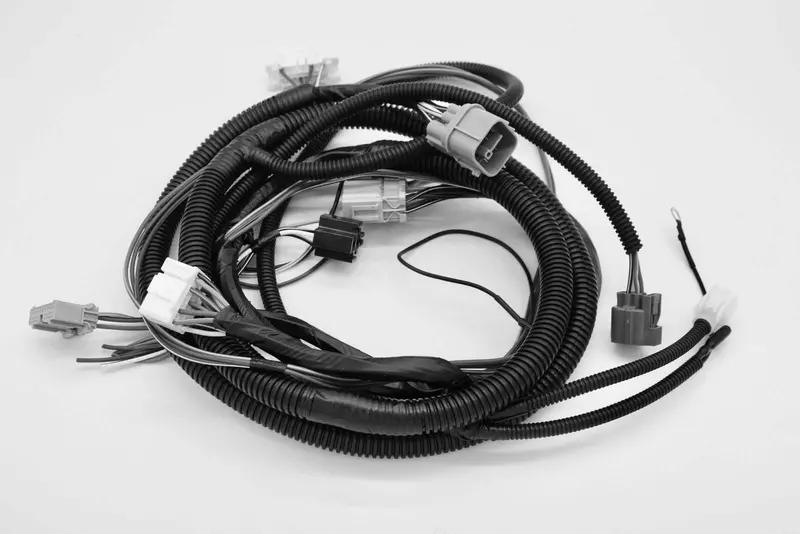 Hasport K Series Wiring Conversion For 99-00 Civic ? K-Tuner Ecu 1