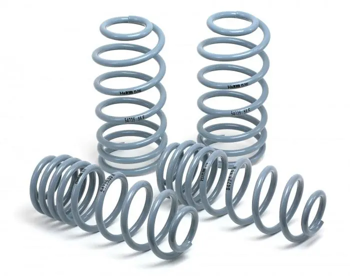 H&R 94-01 Acura Integra Dc Oe Sport Spring (Non Type R) 1