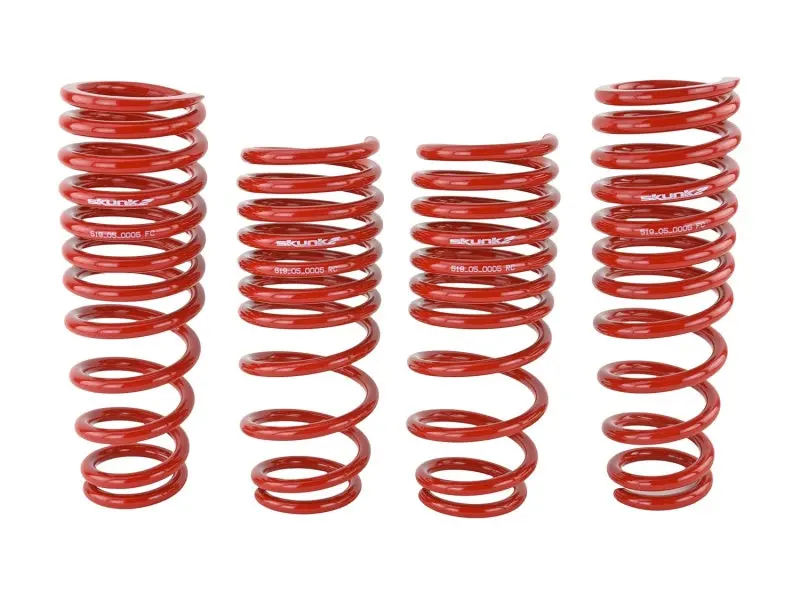 Skunk2 96-00 Honda Civic Lowering Springs (2.50In - 2.25In.) (Set Of 4) 2