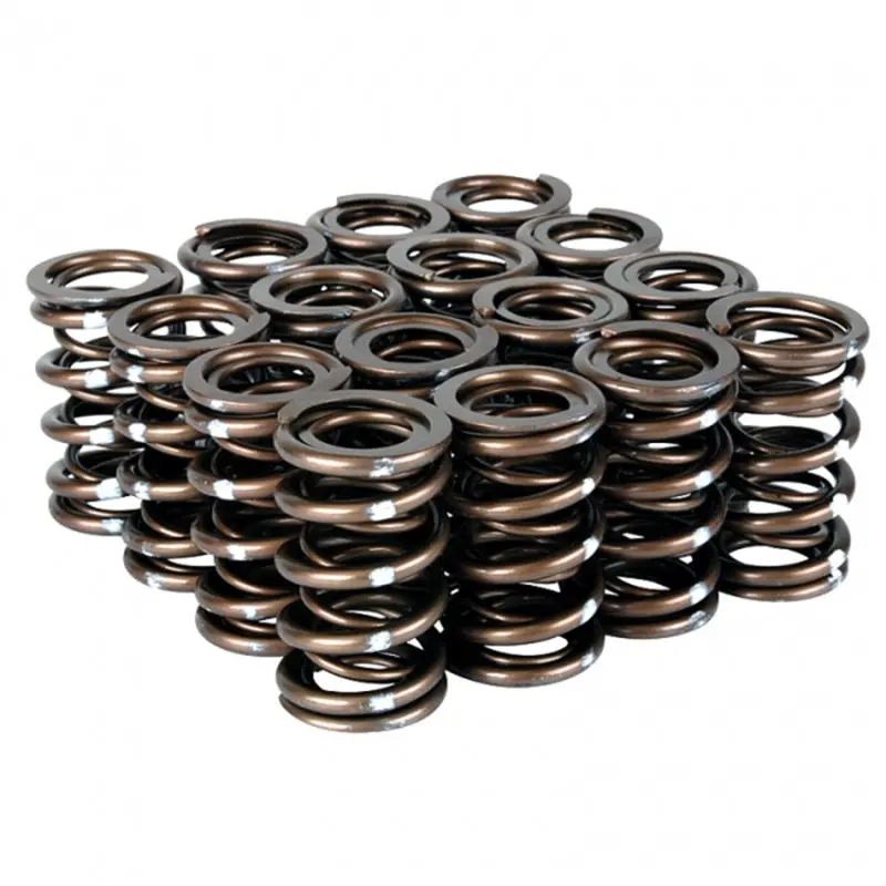Skunk2 Pro Series Honda/Acura B-Series Vtec Xp Valve Spring Set (Dual Springs) 1