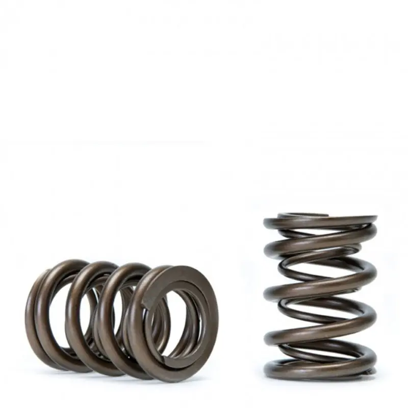 Skunk2 Tuner Series Honda/Acura (B16a/ B17a/ B18c) Dohc Vtec Alpha Valve Spring Set (Dual Springs) 2
