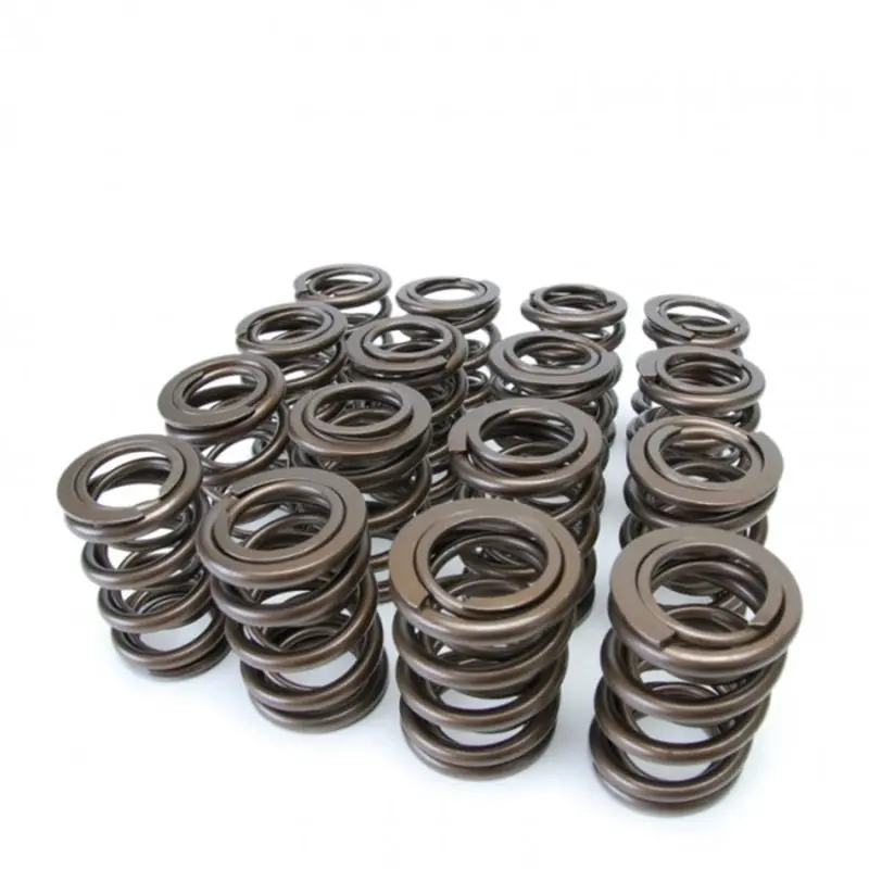 Skunk2 Tuner Series Honda/Acura (H22a/F20b) Dohc Vtec Alpha Valve Spring Set (Dual Springs) 1