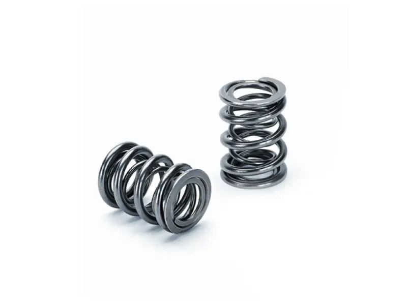 Supertech Honda B16a/B17a/B18c Dual Valve Spring - Set Of 16 1