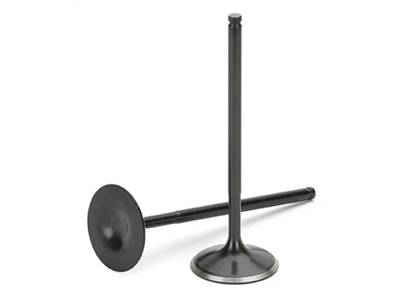 Supertech Toyota 5Vzfe Black Nitrided Intake Valve - Set Of 12 1
