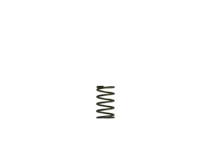 Turbosmart Wg38/40 5Psi Grey Inner Spring 2