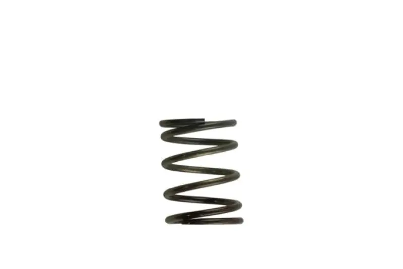 Turbosmart Wg40 5Psi Inner Spring Brown/Grey 1