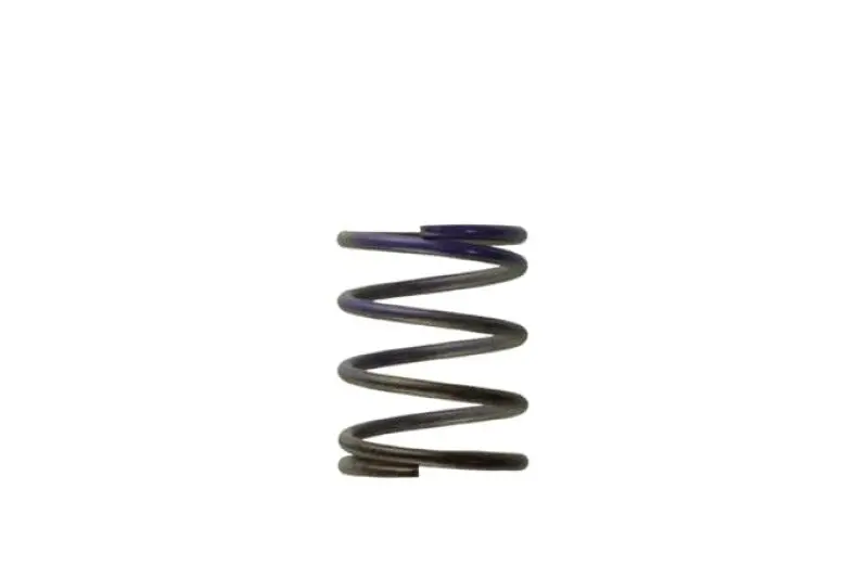 Turbosmart Wg40 7Psi Middle Spring Brown/Purple 1